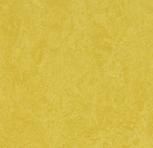 83284 yellow